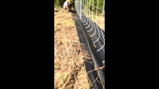 Electric Netting for Cattle in Hawaii