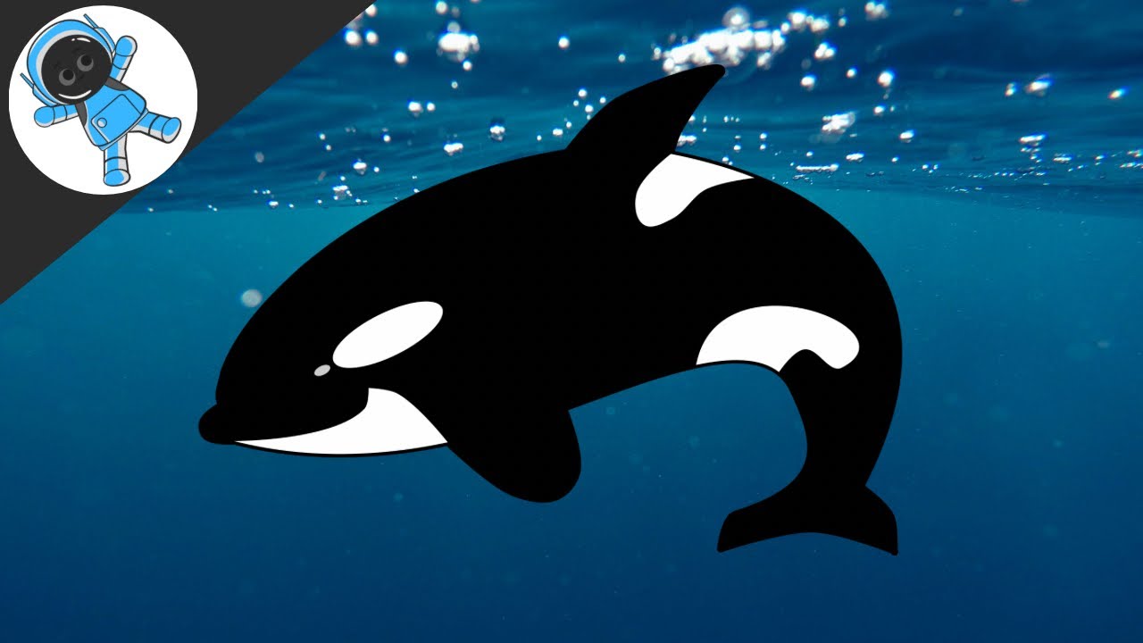 Orca Odyssey: Discovering the Majestic World of Killer Whales for Kids ...