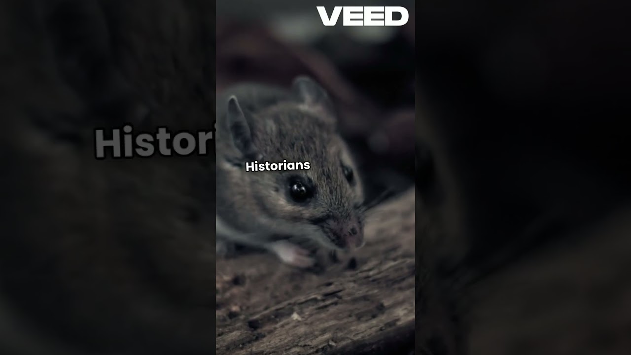 The Year of Darkness