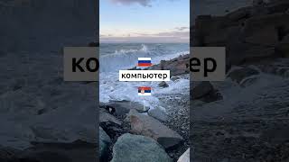 Учим сербский каждый день. Упражнения и викторины на сербском языке