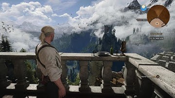 The Witcher 3 PS5 Graphics Glitching