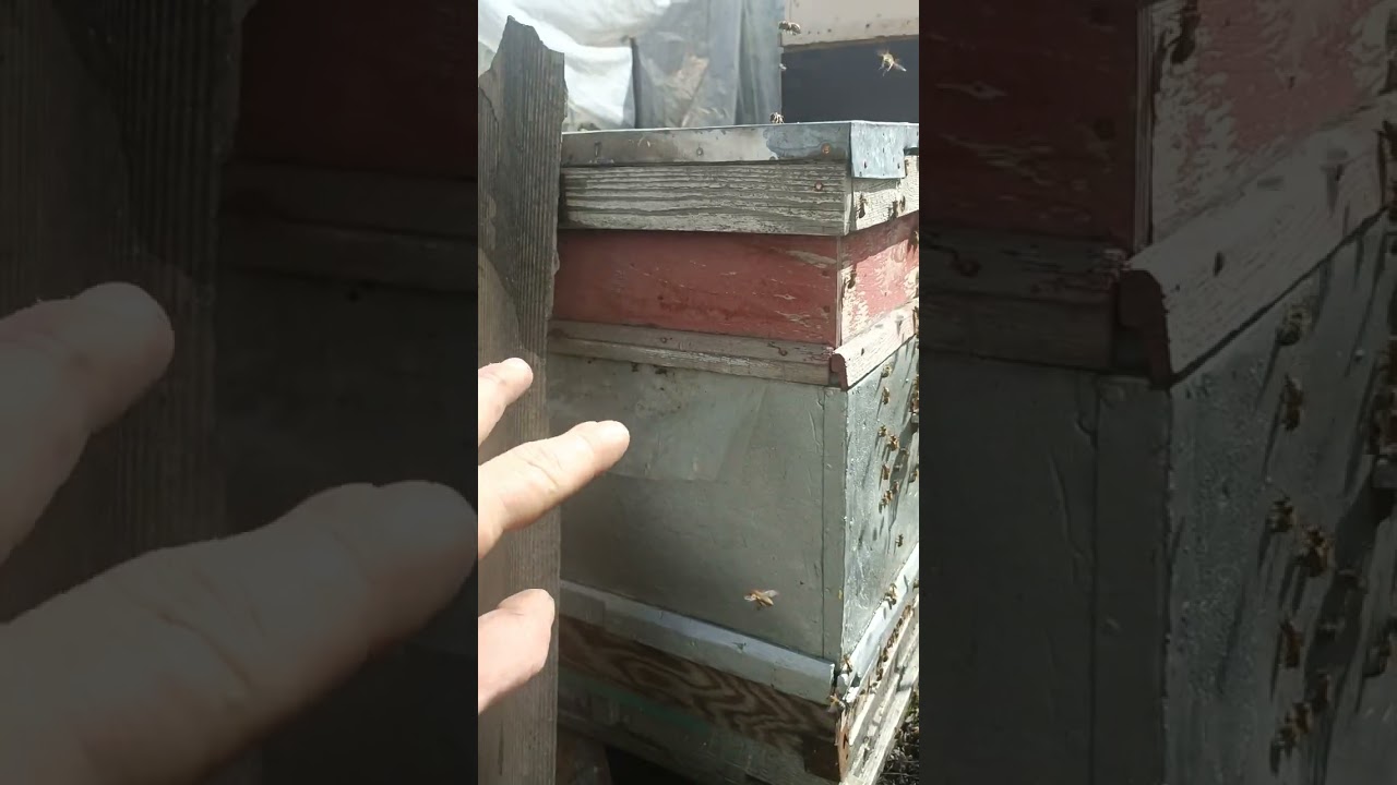 7 марта 2026 г.