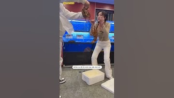 anh cần thủ lấy tôm hùm câu được ngoài biển mang vào đổi cơm ăn gặp bà chủ quán dâm đáng  #fishing