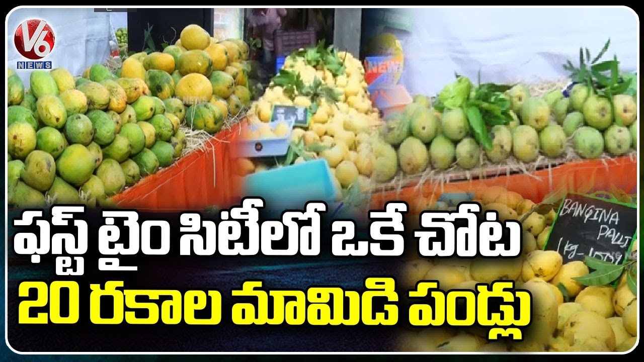 20 Varieties Of Mangoes In One Place Manikonda Hyderabad V6 News