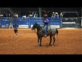 Bareback to Barrels! My Sam Houston State University Rodeo Adventure 🤠