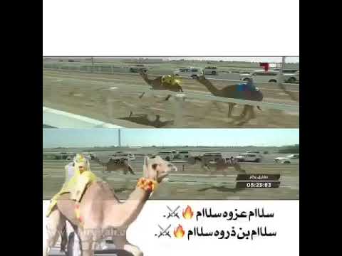 الناموس ل سيد محمد بن جار الله تابع الوصف