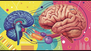 The Neuroscience of Gratitude: How Being Thankful Rewires Your Brain for Happiness