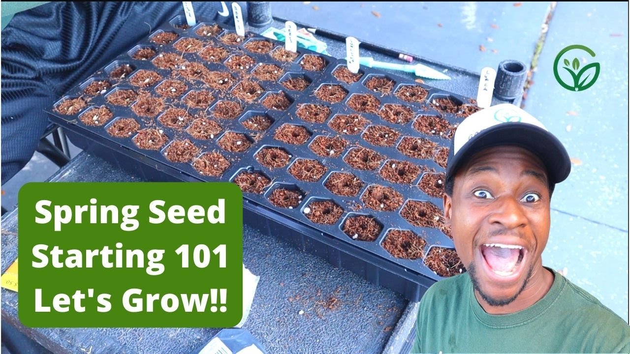 How to Start Seeds Using Coco Coir Seed Starting Mix! YouTube