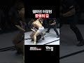 챔피언 이정현 증명의 길