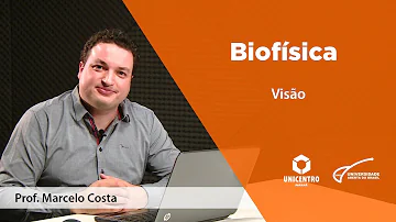 Como ocorre a biofísica da visão?