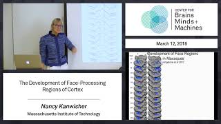 7.8 - The Development of Face Processing Regions of Cortex