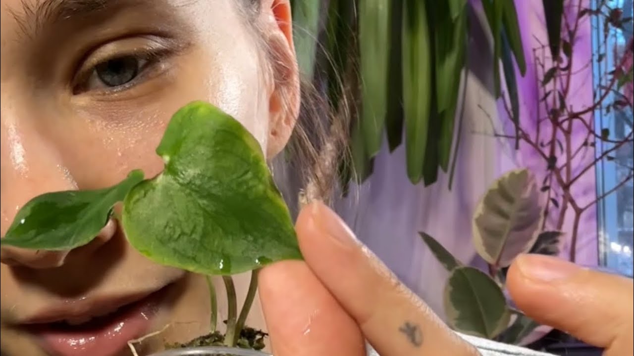 23 января 2026 г.