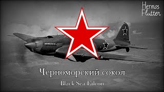 Soviet WW2 Air Force Song - Black Sea Falcon / Черноморский сокол (Lyrics & English Subtitle)