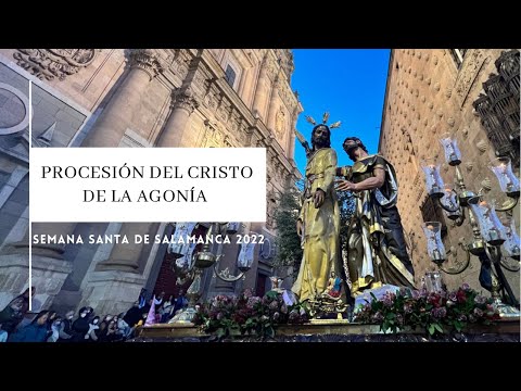 Seráfica Hermandad de Nazarenos del Santísimo Cristo de la Agonía