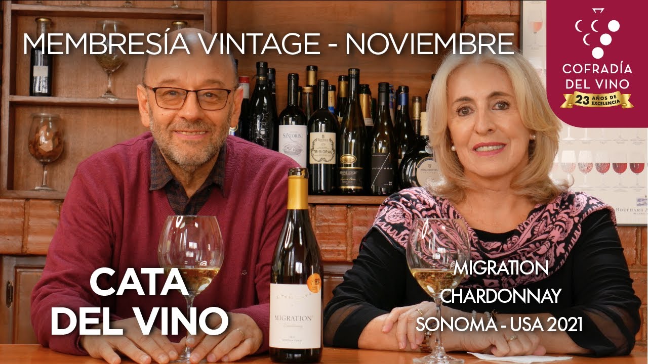 Cata Migration Chardonnay Sonoma 2021 | Vintage | Vino del Mes 🍇