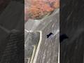 衝撃映像 熊が鹿を追いかけて一緒に崖から落ちる😨 注意喚起 熊出没注意