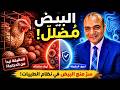 كشف المستور لماذا م نع البيض في نظام الطيبات الحقيقة الصادمة تبدأ من الدجاجة