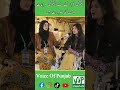 #voiceofpunjab #viralvideos #trendingshorts #normalpeople #ptiofficial #special