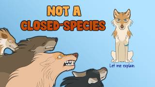 OC Guidelines Explained