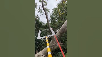 Amazing Tool for Hanging Ropes at High Places!