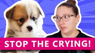 Puppy Separation Anxiety - Stop The Crying