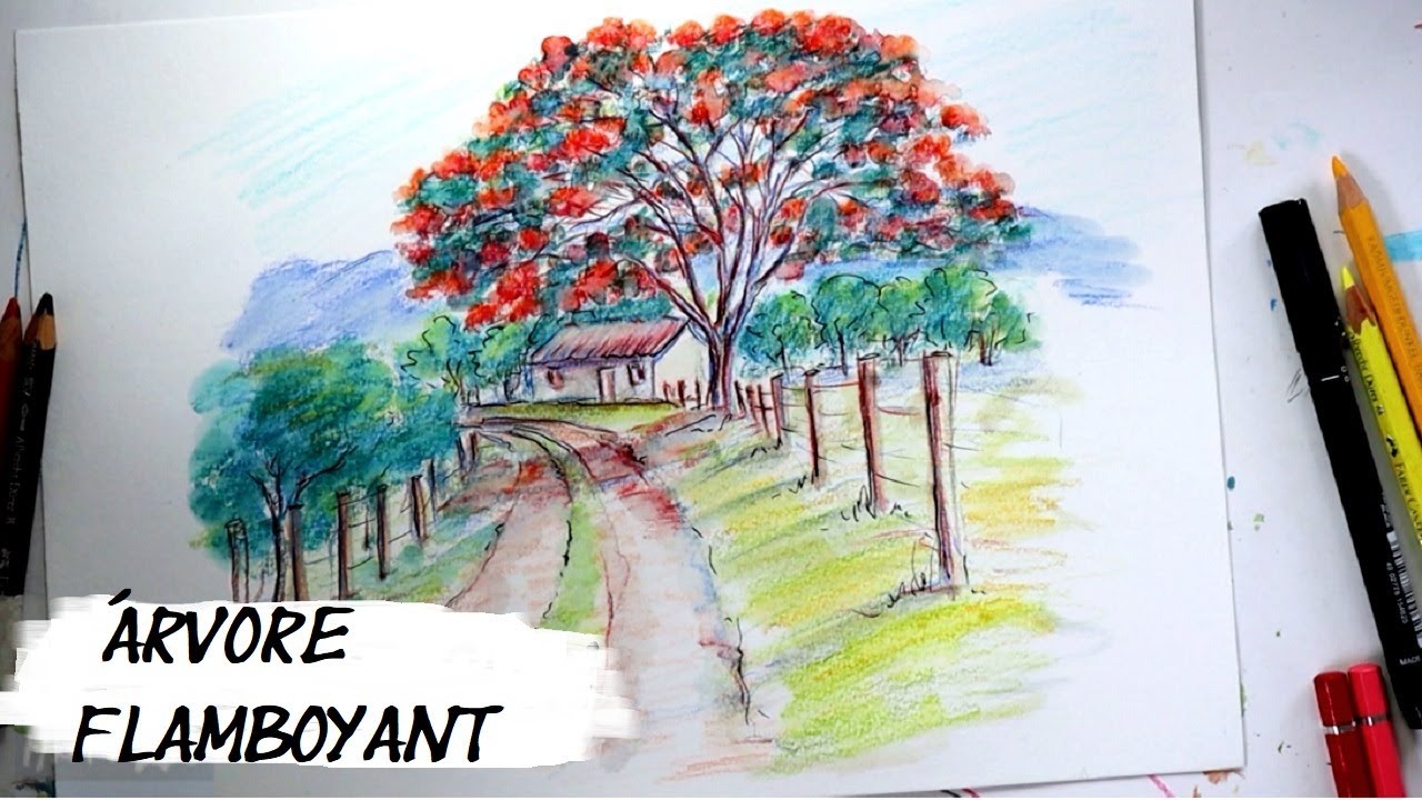 Como DESENHAR um FLAMBOYANT VERMELHO com LÁPIS de COR!