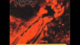 EXHUMED - Consumer or consumed