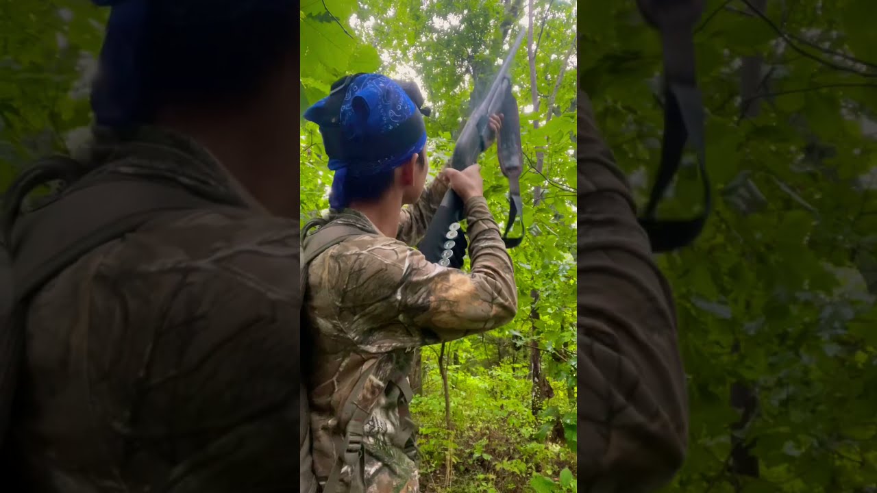 Shooting a squirrel with 12 gauge!