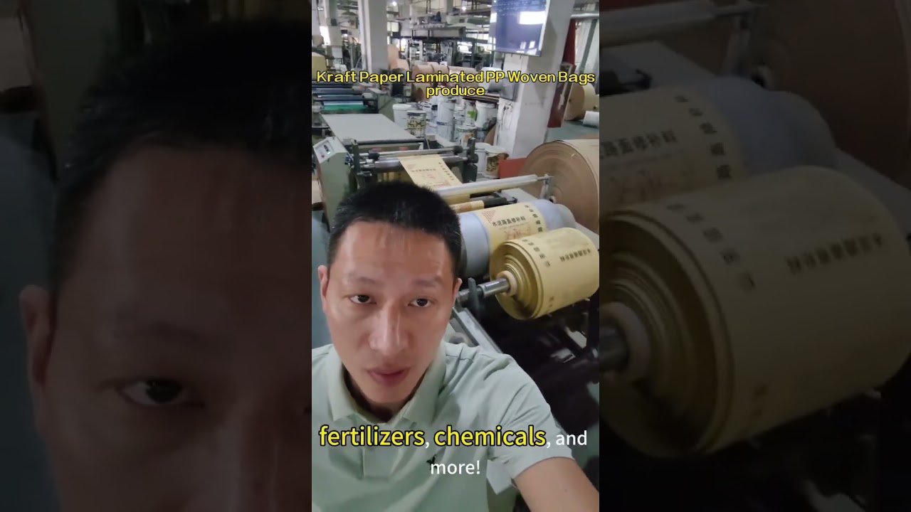 Factory's Custom Kraft Paper Laminated PP Woven Bags