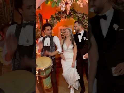 كل الناس واحد الا انتى فالته دخله العروسه