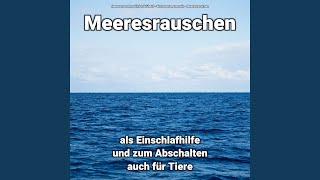 Entspannungsmethode