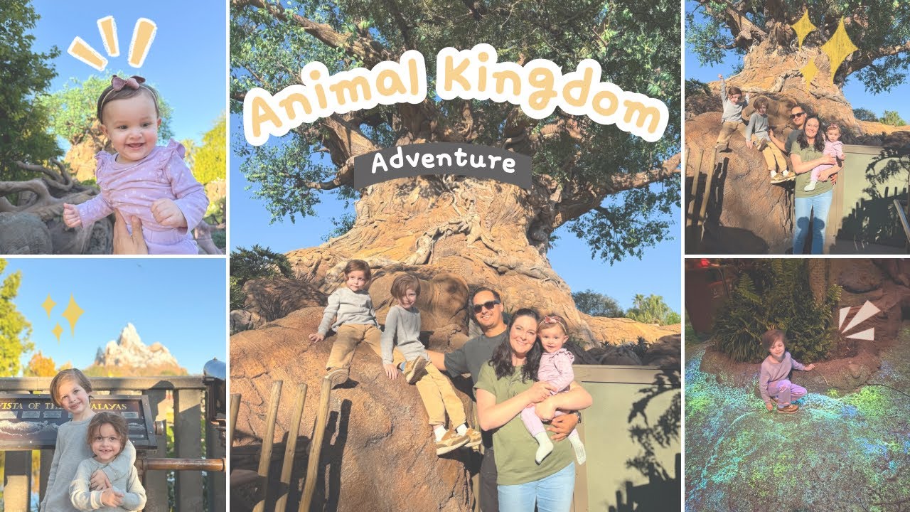 Animal Kingdom Adventure •Disney Day Two• | + Celebrating the Holidays with Family in Kissimmee