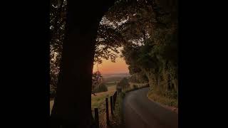 Reunion, Slowed To Perfection