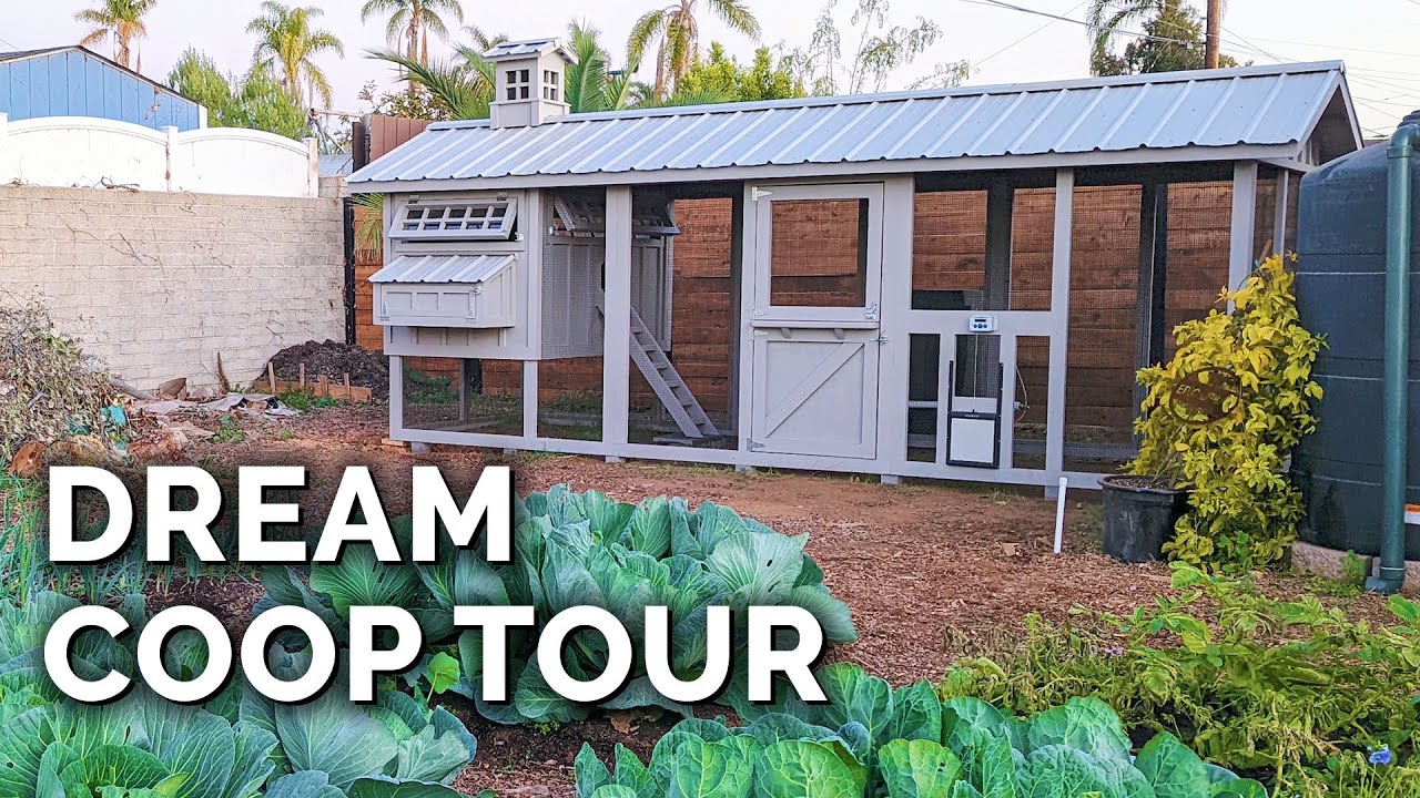 The Dream Chicken Coop Full Tour with CarolinaCoopsVideos YouTube