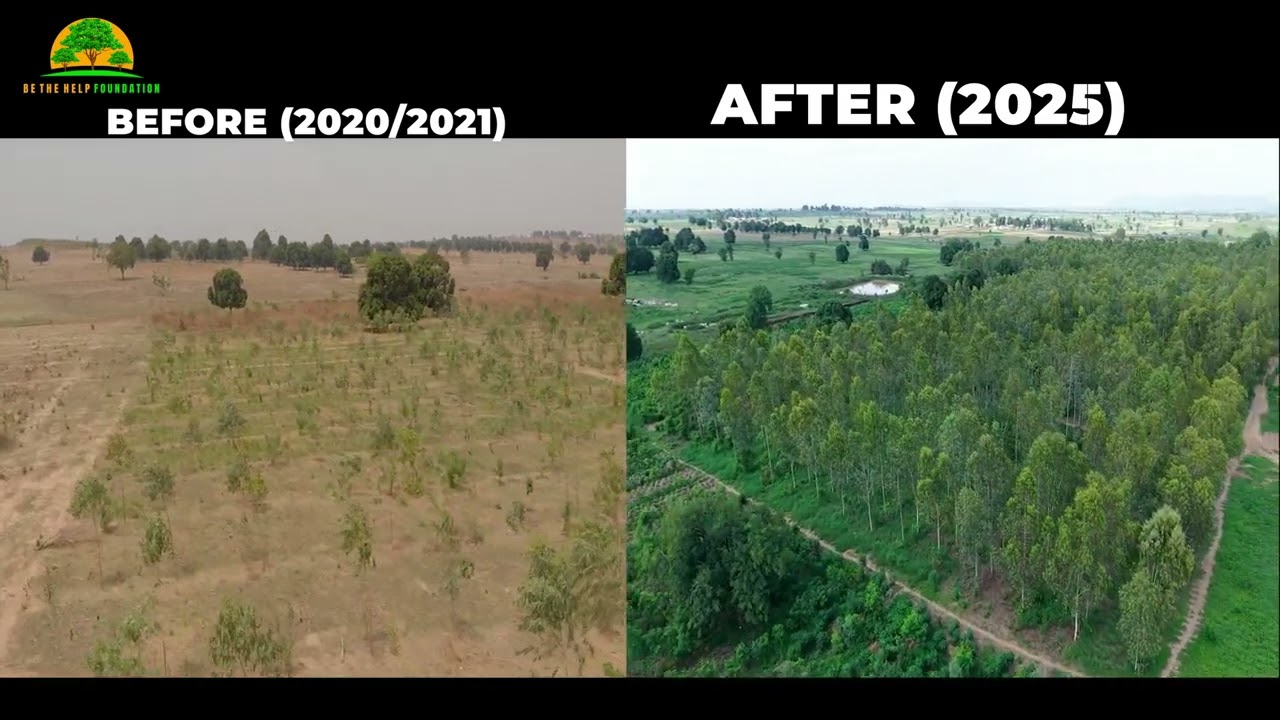 AGROFORESTRY in Nigeria: 3 (planting the future)