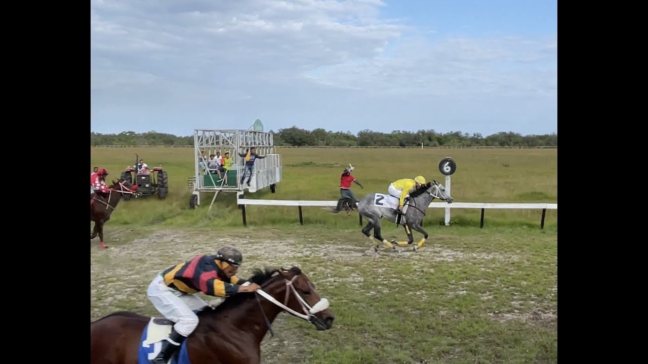 Horse Race Castleton Race Track October 2, 2022 B Class 6 Furlongs