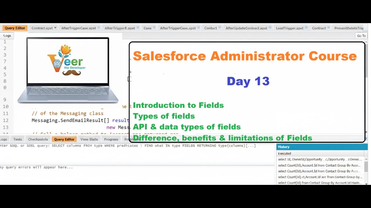 Salesforce Admin Day 13 | Field Types Explained | Standard vs Custom ...
