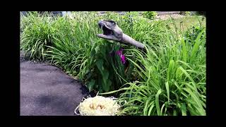 Prototype￼ jumping snake animatronic
