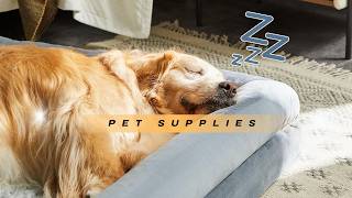 ☁️ Pure Luxury For Giant Breeds! WNPETHOME XXXXL Orthopedic Dog Bed Review 🐕