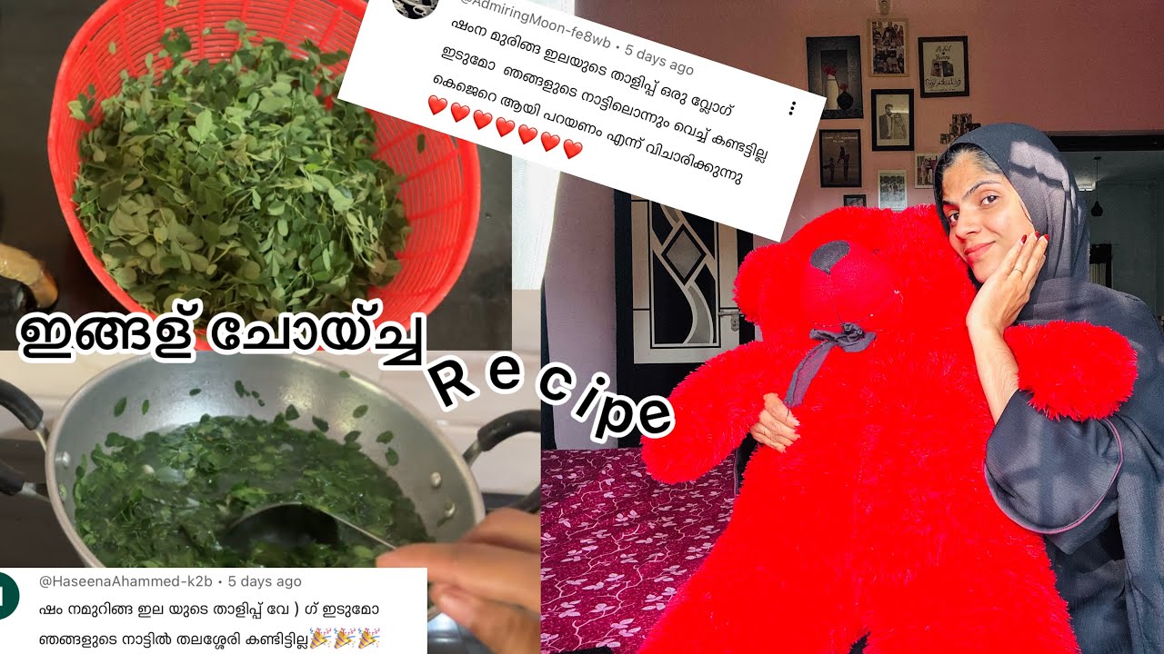 വല്ലാത്ത ഒരു vlog ആയി പോയി 😦#longvideo 