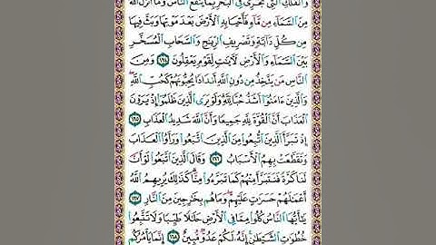 سورة البقرة ص25/الغامدي