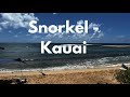 Snorkeling   Poipu Beach Kauai
