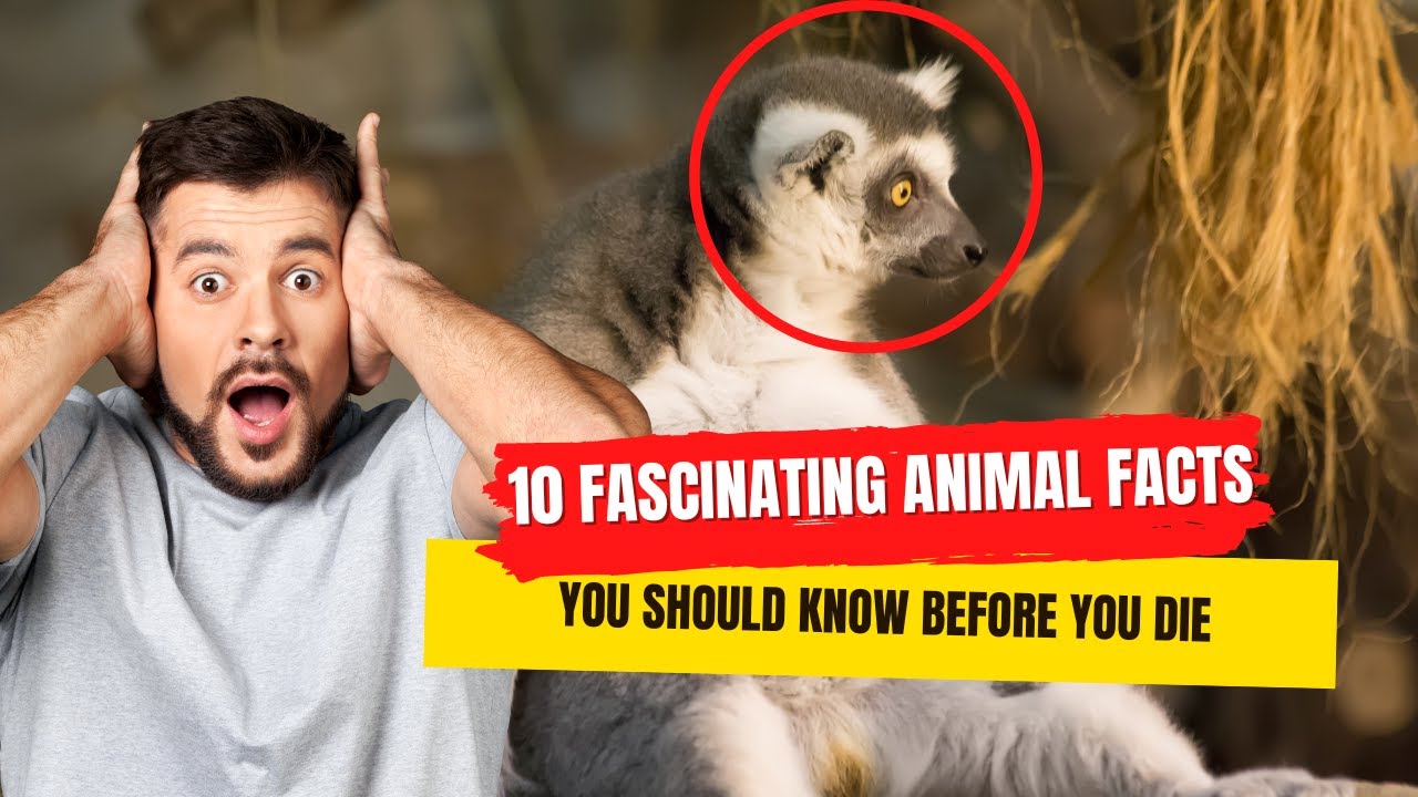 Top 10 Fascinating Animal Facts You Should Know Before You Die