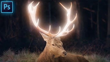 Glowing Deer Manipulation | Photoshop 2021 Tutorial