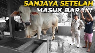 AKHIRNYA KEMBALI LAGI KE SETIA FARM PURWEREJO..!