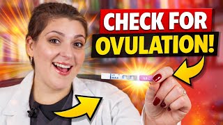 LH Strips Explained: How to Use Ovulation Tests to Get Pregnant Faster