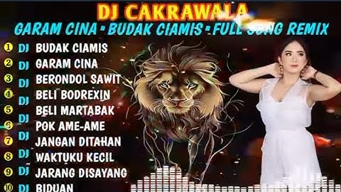 DJ GARAM CINA X BUDAK CIAMIS-DJ CAKRAWALA VIRAL 2025!