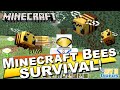 How to Find Bees in Minecraft Survival and Collect Honey!