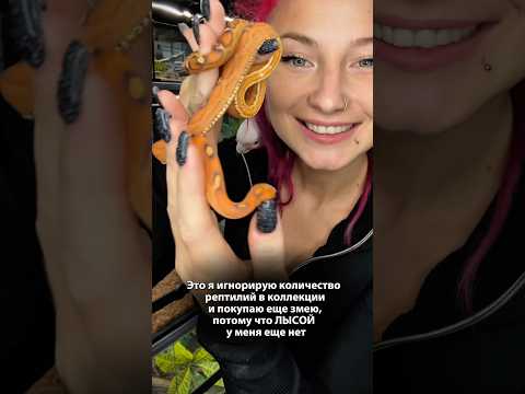 А вы знали, что существуют змеи без чешуи? #вмиреживотных #животные #питомцы