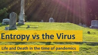 Entropy vs the Virus @biblicalgenetics8838